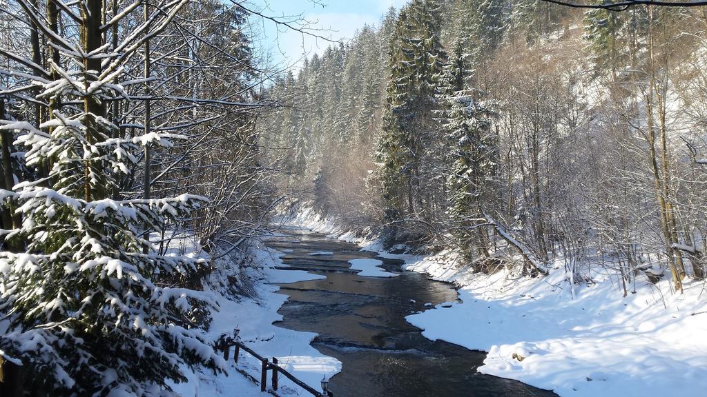 Homestay Srebrny Potok Zakopane Bagian luar foto